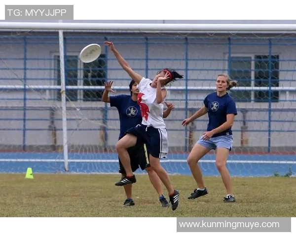 飞盘盛宴：深圳飞盘队的节奏与魅力全景解析