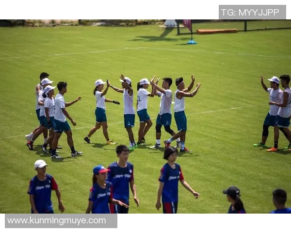 飞盘运动的魅力与挑战：深入了解上海飞盘队的耐力与团队精神